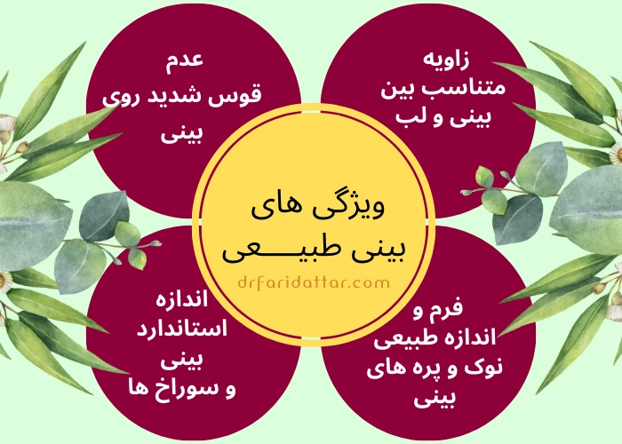 عمل بینی طبیعی